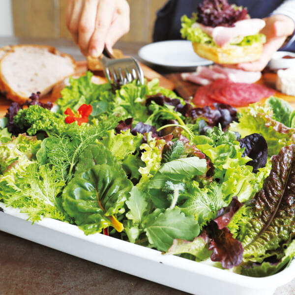 青森県産無農薬 サラダハーブ箱 200g