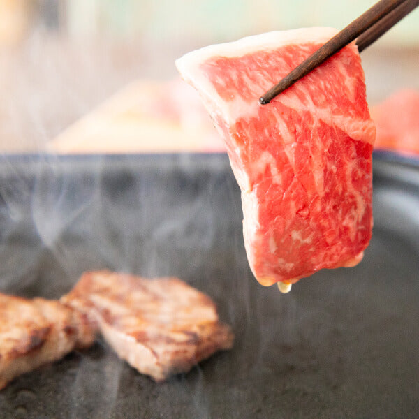 阿波黒牛 厳選希少部位３種 食べ比べ焼き肉セット(500g)